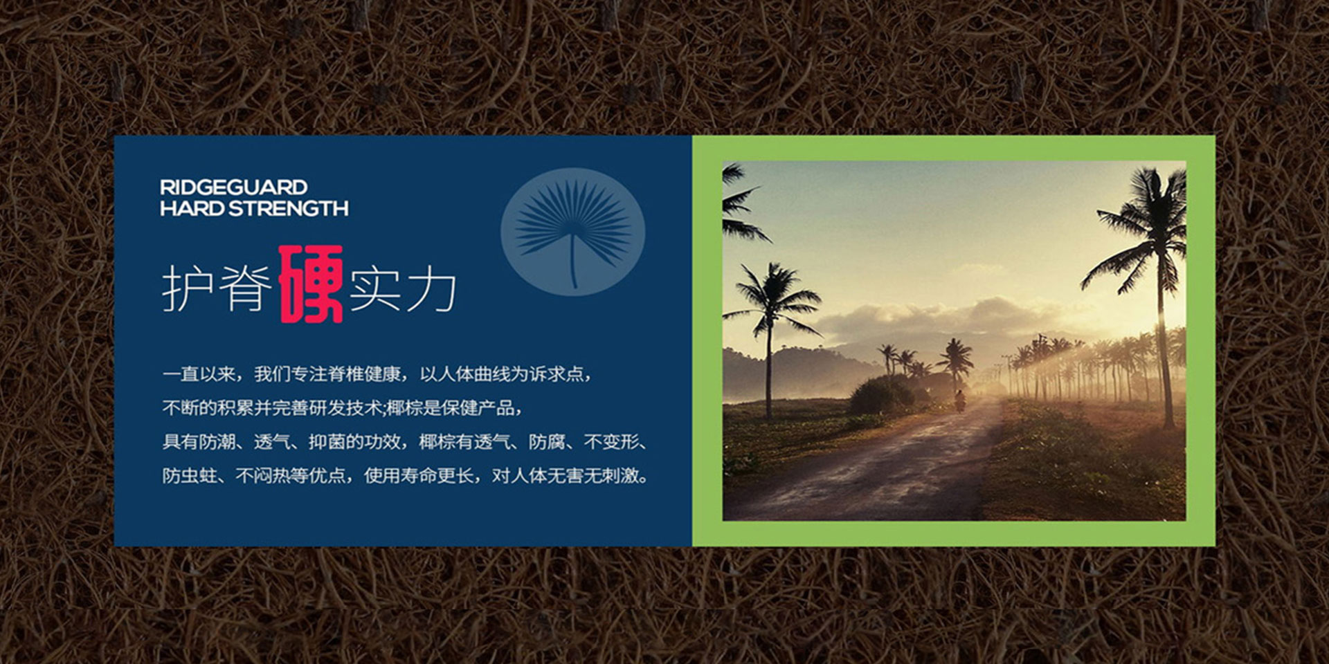糖心LOGO在线观看