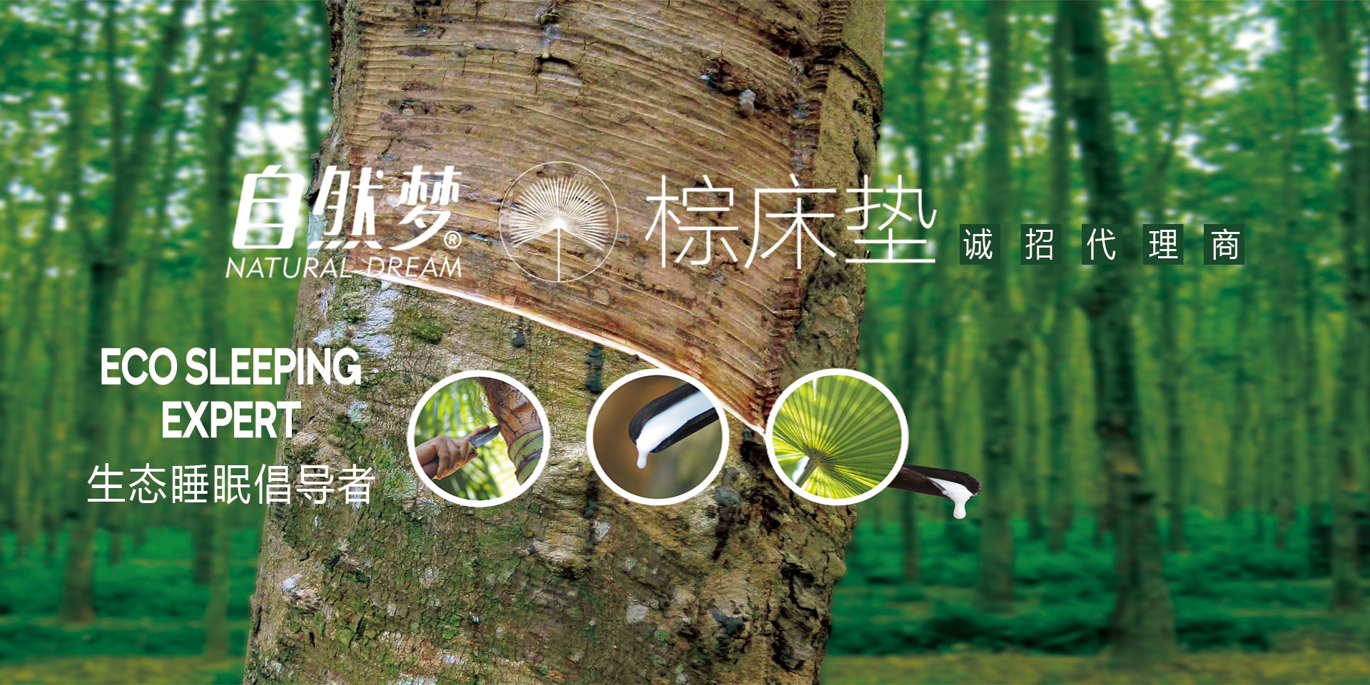 糖心LOGO在线观看