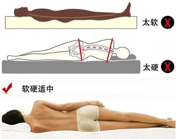 糖心LOGO在线观看