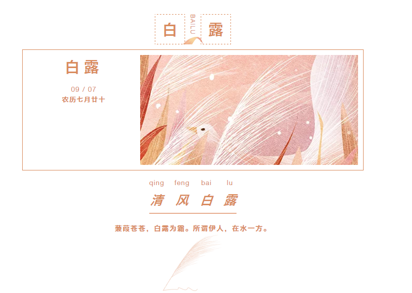 糖心LOGO在线观看