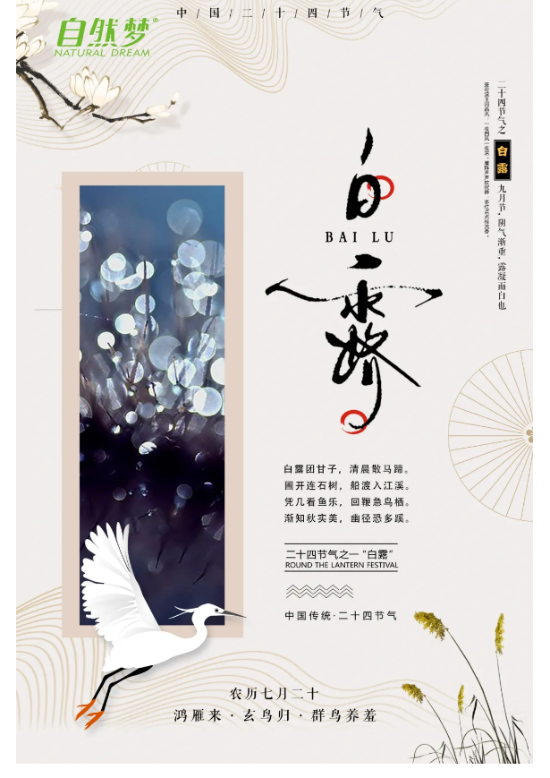 糖心LOGO在线观看床垫